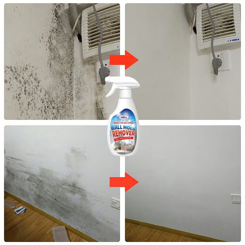 Wall Mold Remover Spray