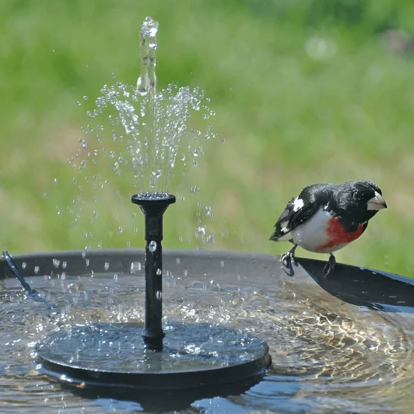 HOT SALE🔥Solar-Powered Bird Fountain Kit