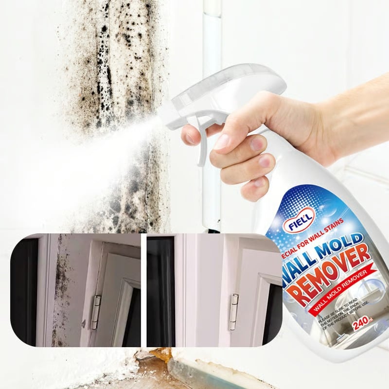 Wall Mold Remover Spray