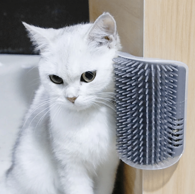 🔥Corner Massage Cat Brush