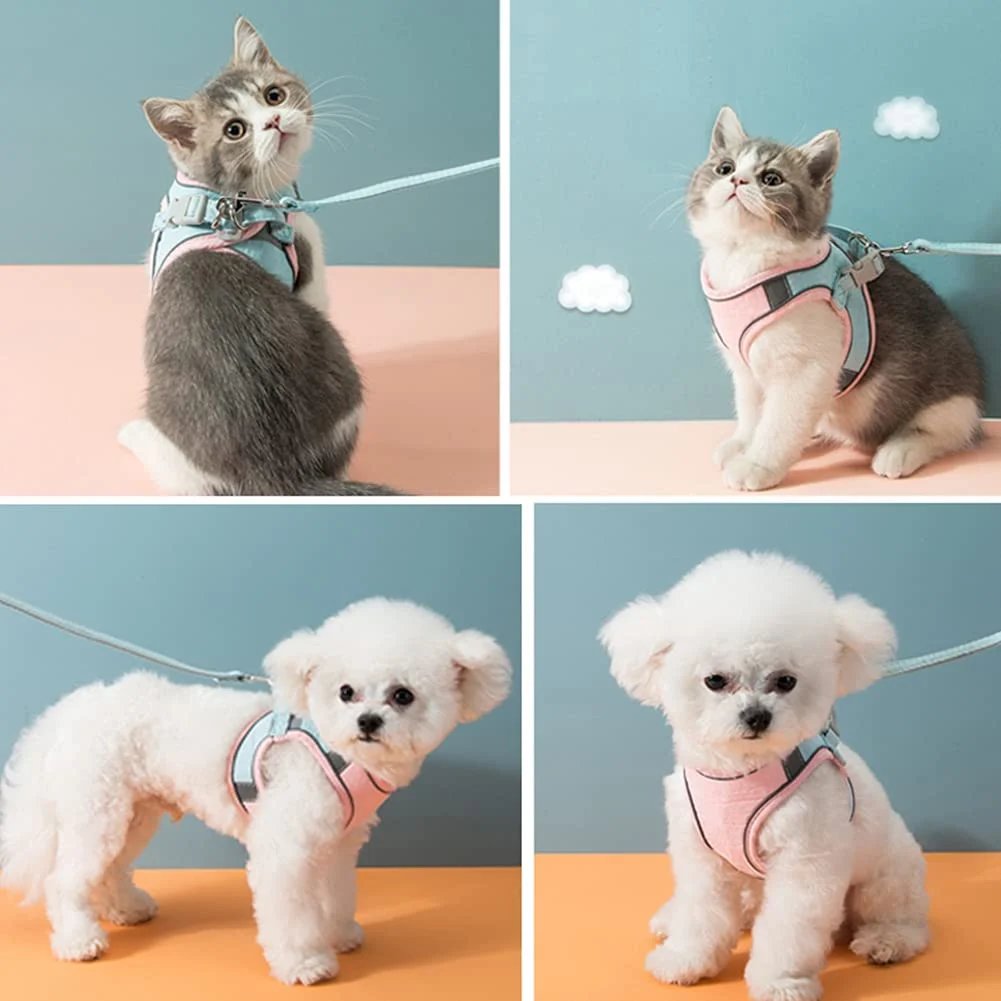 ⚡⚡Luminous Cat Vest Harness and Leash Set