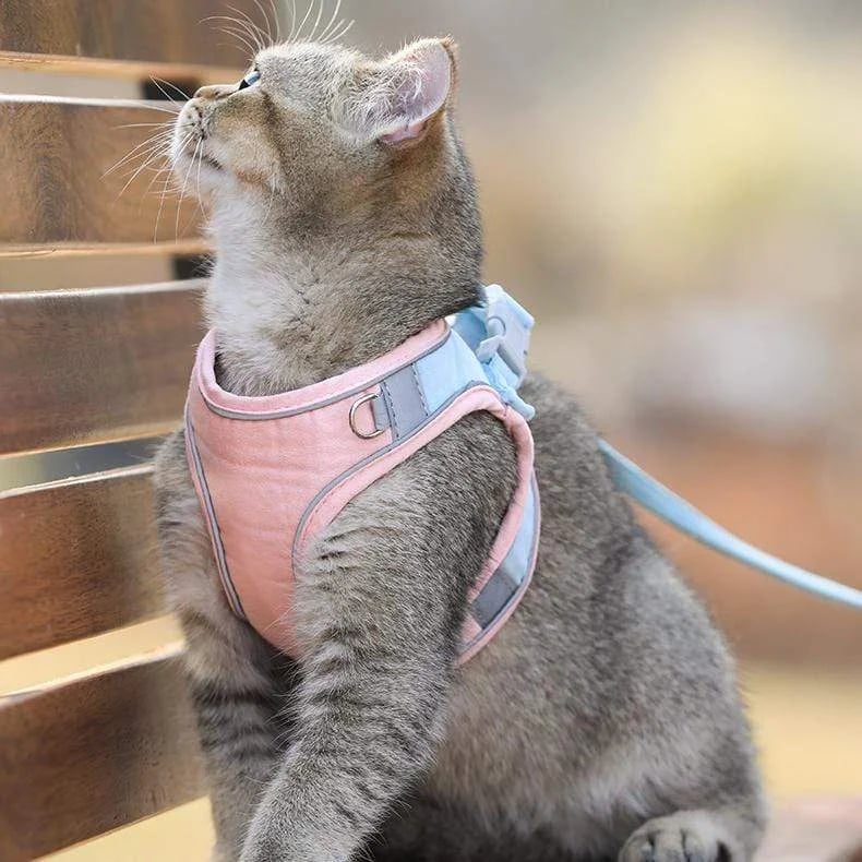 ⚡⚡Luminous Cat Vest Harness and Leash Set