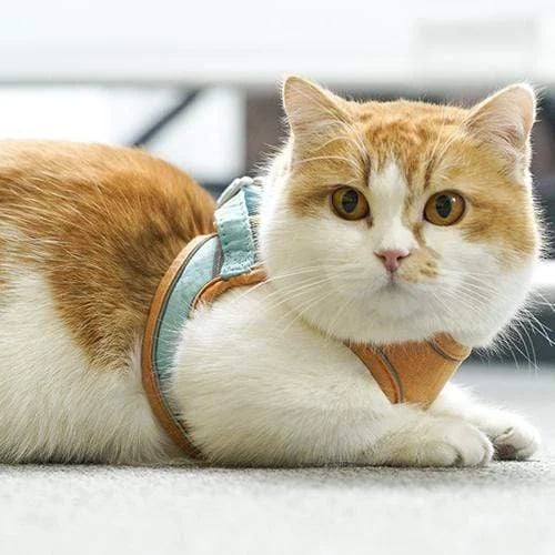 ⚡⚡Luminous Cat Vest Harness and Leash Set