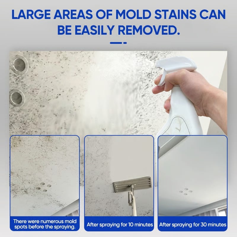 Wall Mold Remover Spray