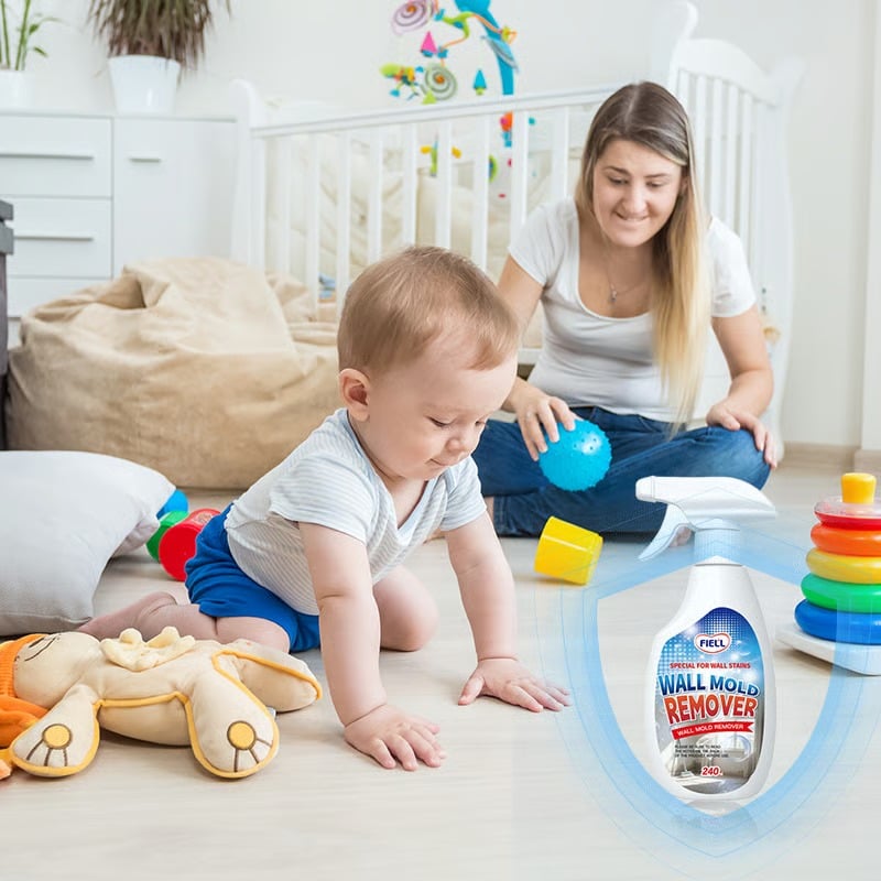 Wall Mold Remover Spray