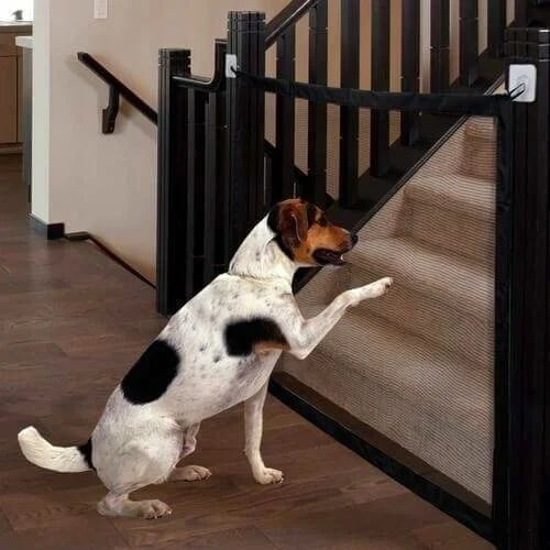 🎉Portable Kids & Pets Safety Door Guard