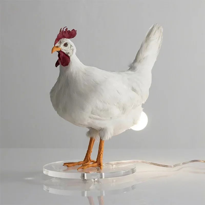 🐓💡Hilarious Chicken Egg Lamp