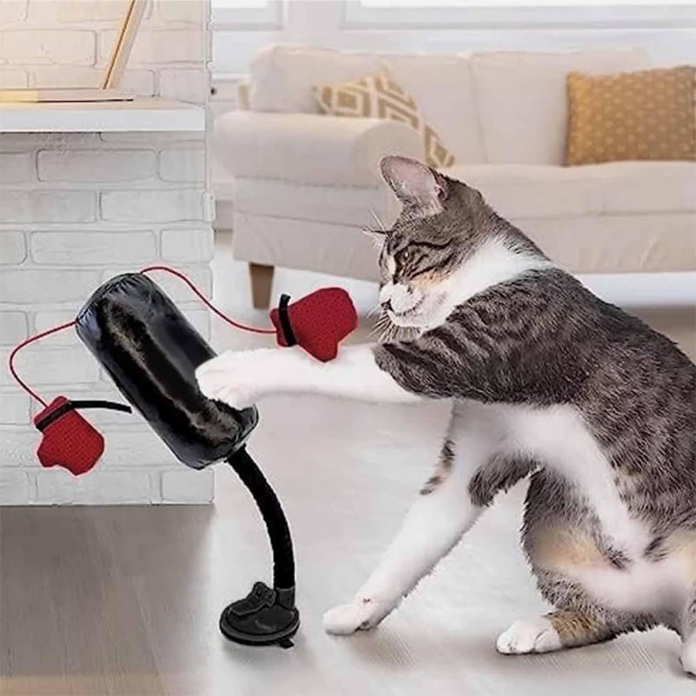🥊Cat Boxing Toy😻