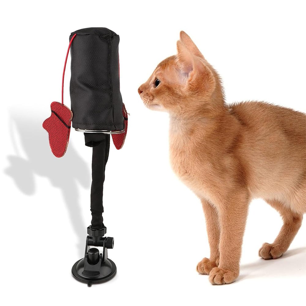 🥊Cat Boxing Toy😻