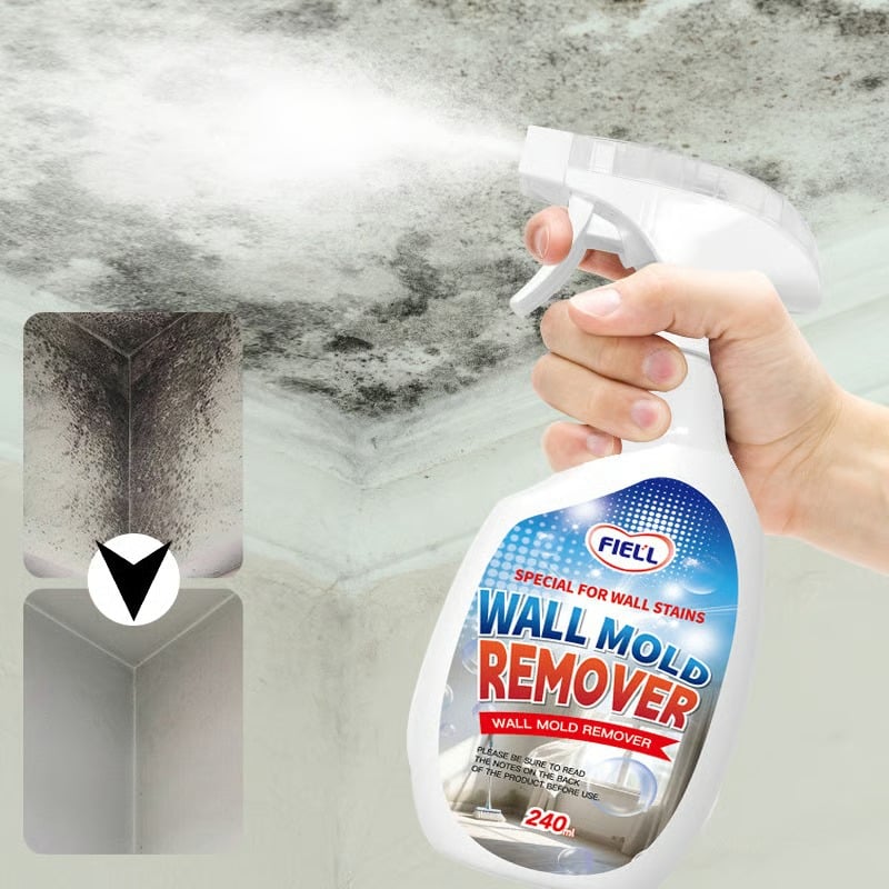 Wall Mold Remover Spray