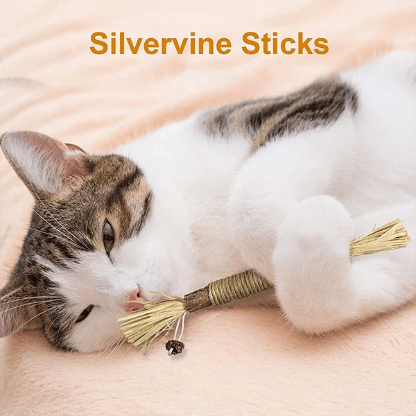 (🔥BIG SALE)Natural Silvervine Stick Cat Chew Toy--buy 5 get 5 free & free shipping(10pcs)