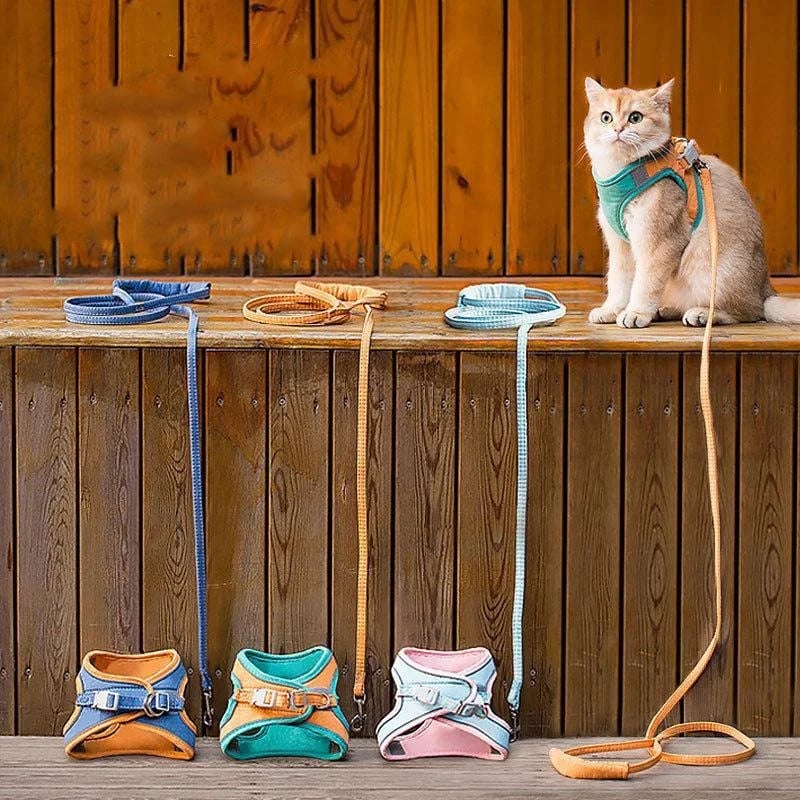 ⚡⚡Luminous Cat Vest Harness and Leash Set