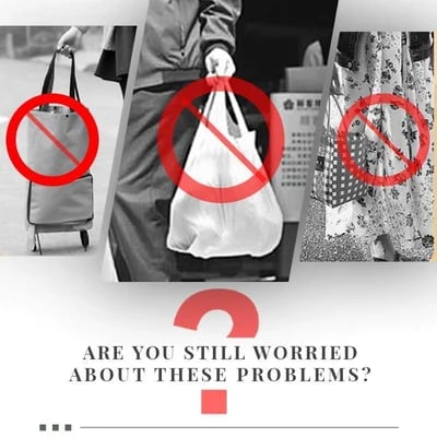 🔥 Large Capacity Portable Shopping Bag