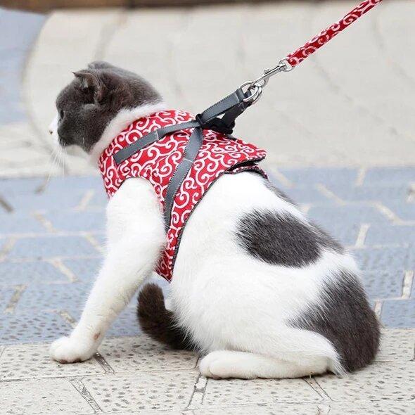 🔥Cat Dogs Vest Harness and Leash Anti-break Away Chest Strap Cat Clothes