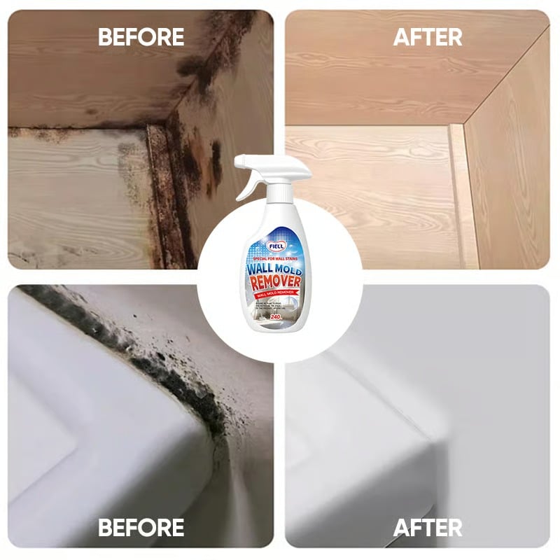 Wall Mold Remover Spray