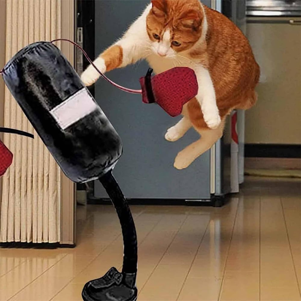 🥊Cat Boxing Toy😻