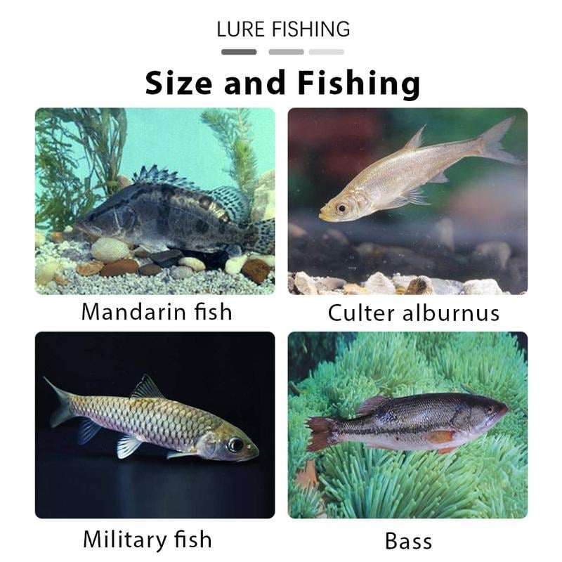 6Pcs Multiple Pre-Rigged Jig Head Soft FishingLures