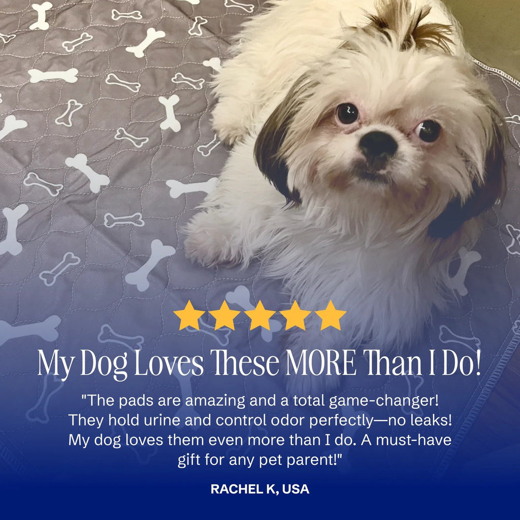 🌏🐶stylish, super absorbent & reusable for a cleaner home😸