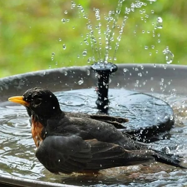 💧60% OFF NOW! ☀️ Solar Fountain Bird Bath Pump – 1.4W Solar Panel, 4 Nozzles & Submersible for Pond, Garden & Pool 🐦